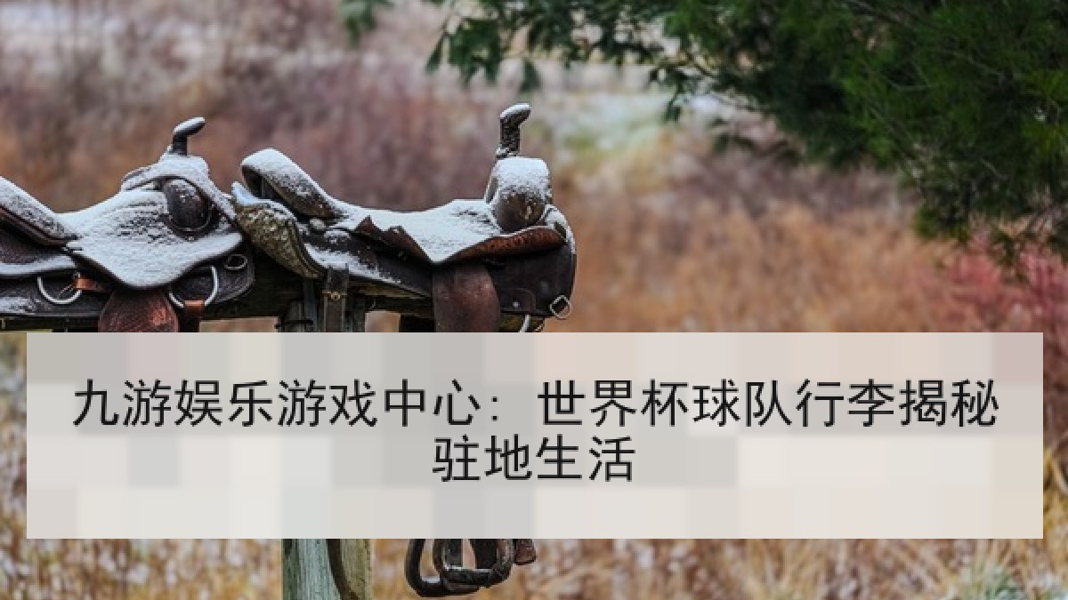九游娱乐游戏中心: 世界杯球队行李揭秘驻地生活